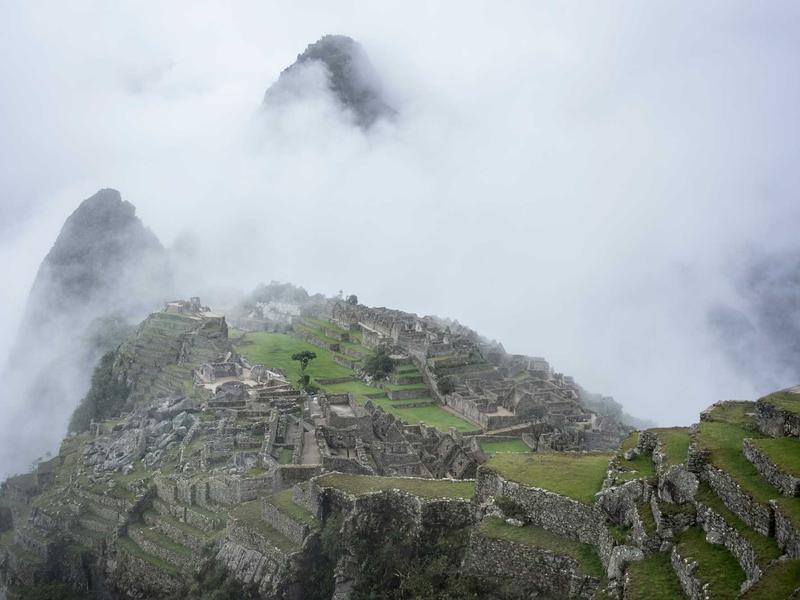 sudoku coloring method