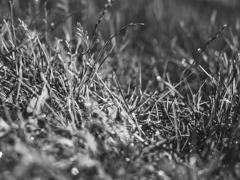 sudoku coloring method screenshot 2